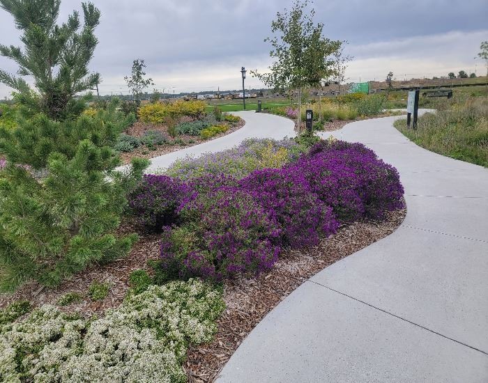 2nd page - Native Garden - Image A 2nd page - Native Garden - Image A