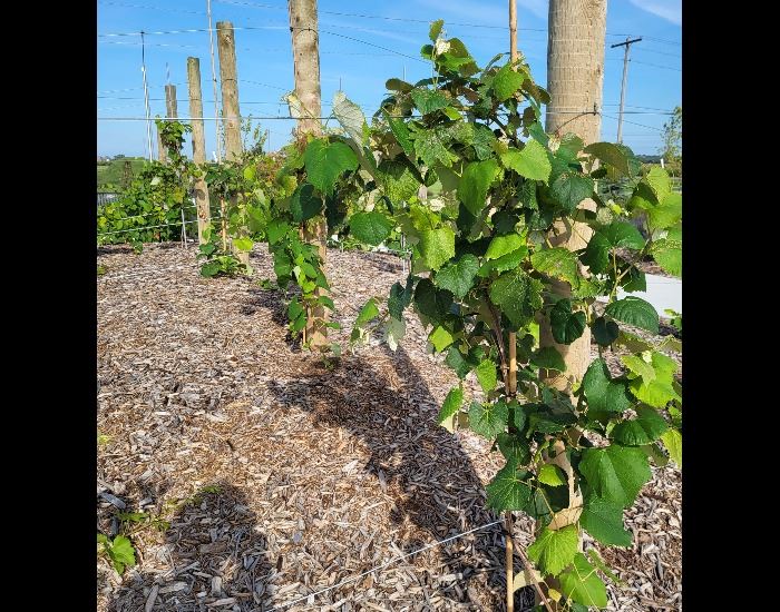 20240822_095238 20240822_095238